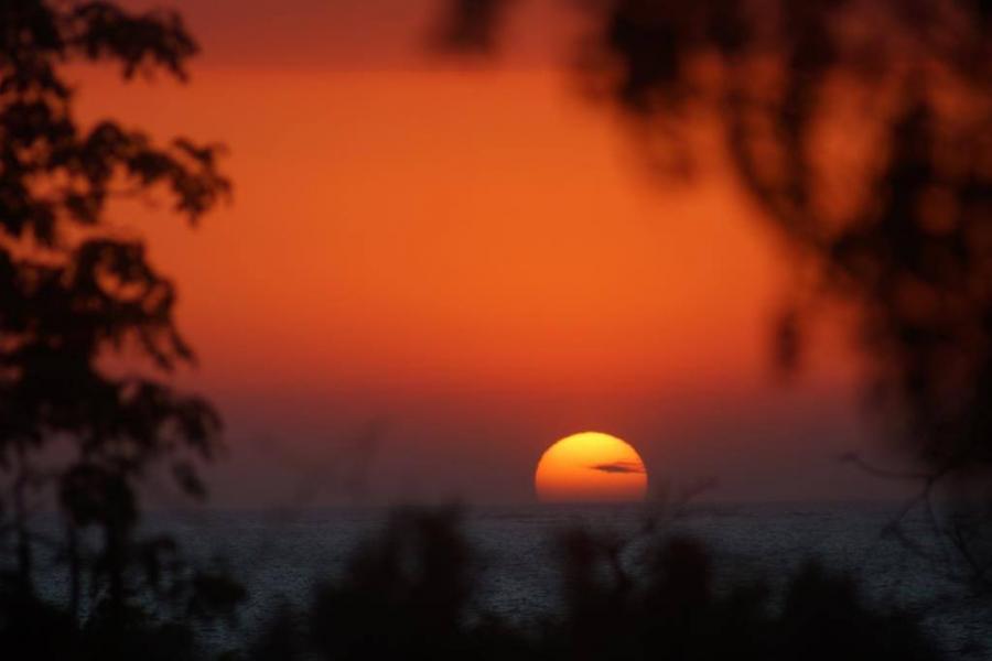 11170313 772915906157528 2522279733308620147 o